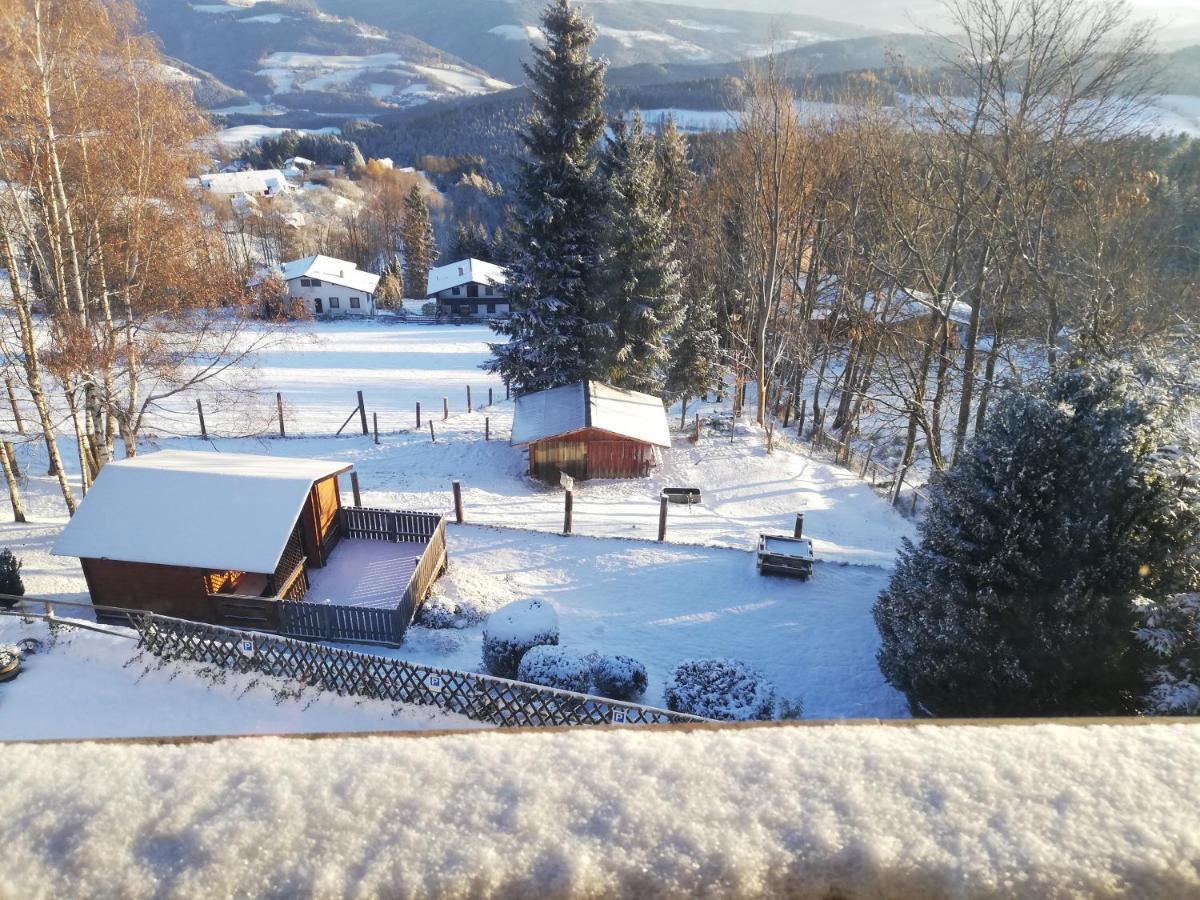 Weixl Schi&Bike Appartements-Bike In&Bike Out Neben Wexl Trails Bikepark Sankt Corona am Wechsel Bagian luar foto