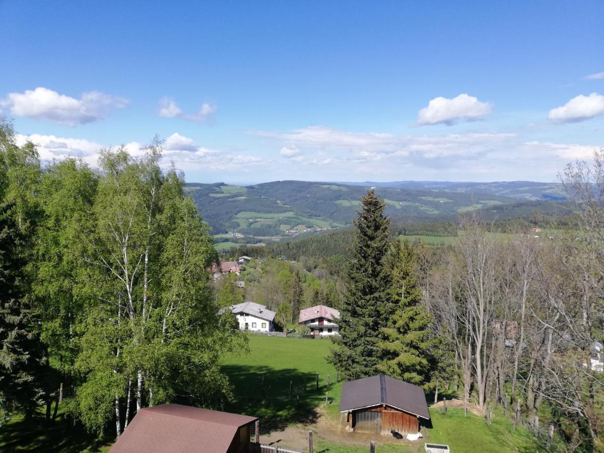 Weixl Schi&Bike Appartements-Bike In&Bike Out Neben Wexl Trails Bikepark Sankt Corona am Wechsel Bagian luar foto