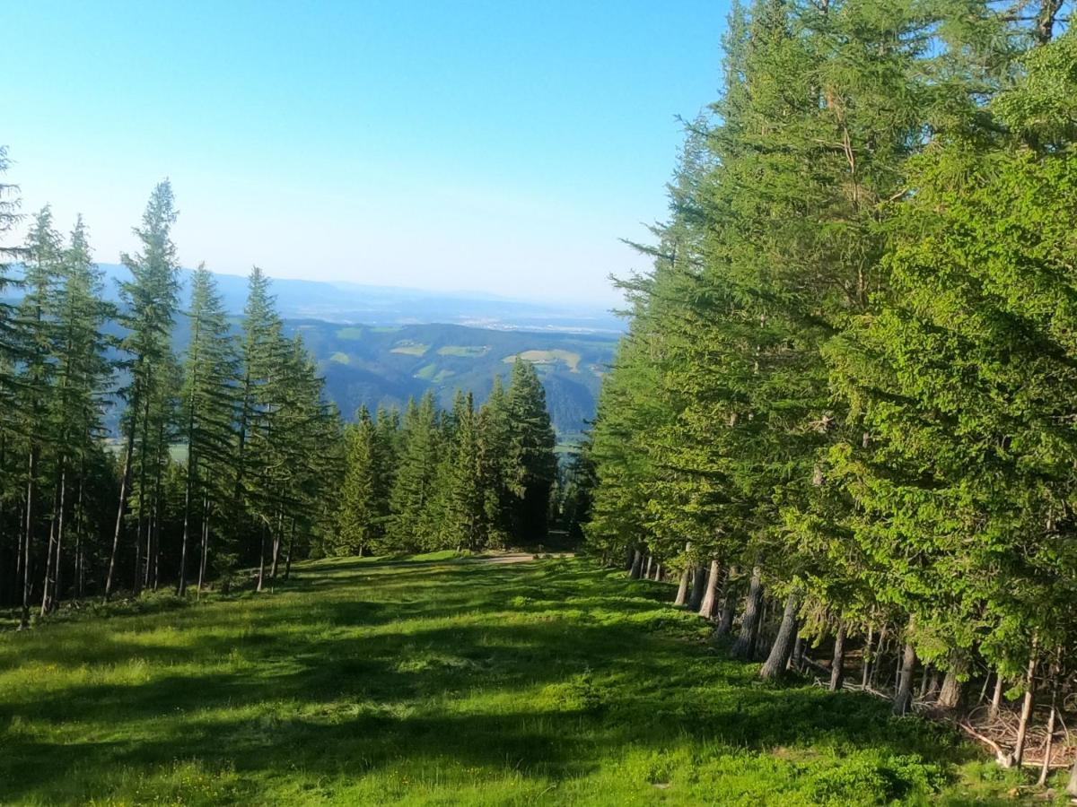 Weixl Schi&Bike Appartements-Bike In&Bike Out Neben Wexl Trails Bikepark Sankt Corona am Wechsel Bagian luar foto