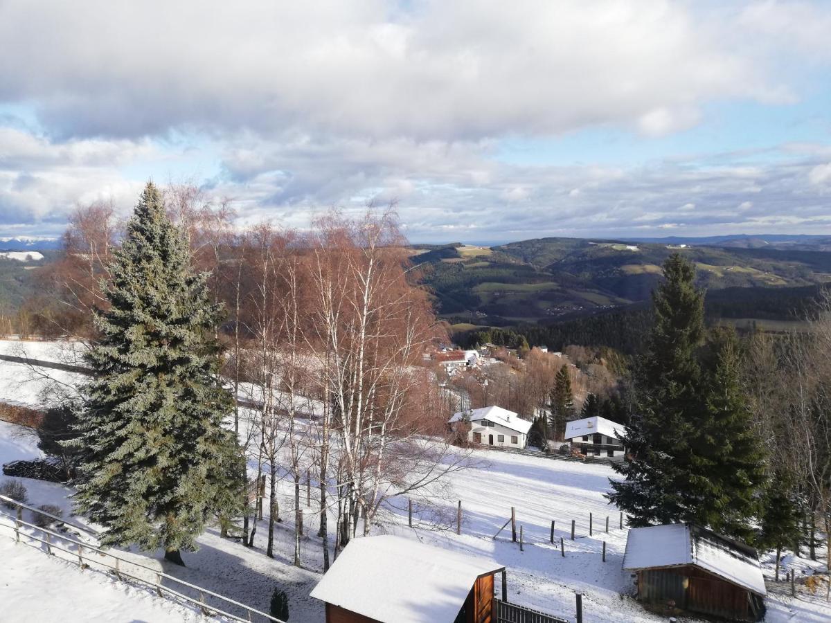 Weixl Schi&Bike Appartements-Bike In&Bike Out Neben Wexl Trails Bikepark Sankt Corona am Wechsel Bagian luar foto