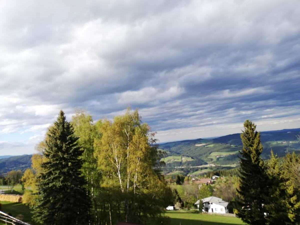 Weixl Schi&Bike Appartements-Bike In&Bike Out Neben Wexl Trails Bikepark Sankt Corona am Wechsel Bagian luar foto