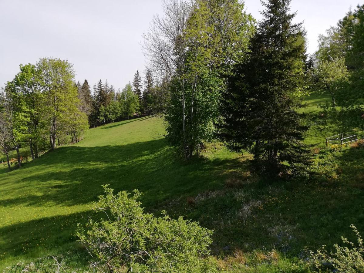 Weixl Schi&Bike Appartements-Bike In&Bike Out Neben Wexl Trails Bikepark Sankt Corona am Wechsel Bagian luar foto