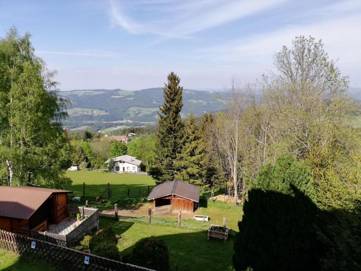 Weixl Schi&Bike Appartements-Bike In&Bike Out Neben Wexl Trails Bikepark Sankt Corona am Wechsel Bagian luar foto