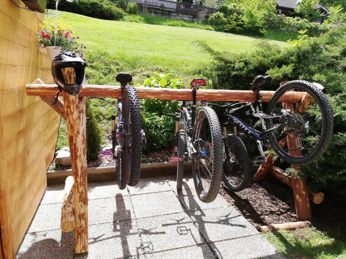 Weixl Schi&Bike Appartements-Bike In&Bike Out Neben Wexl Trails Bikepark Sankt Corona am Wechsel Bagian luar foto